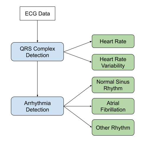 ECG